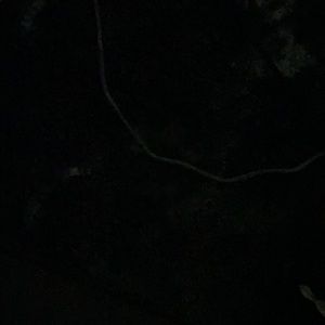 Meet your Posher, Janasha